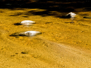 River Rocks Seem Clear with a Snading Tan Bottom