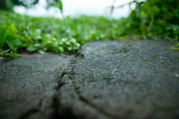 Macro Shoot of Concrete stone walk path.