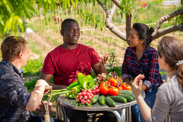 People gardeners chatting at table with harvest after harvesting at farmland
