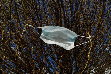 Blue medical mask hanging on the branches of a bush. blue surgical mask hanging from the branches
