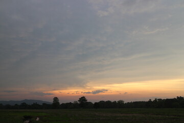 Beautiful Vivid sky painted by the sun leaving bright golden shades. Image of cloud sky on evening time. Evening Vivid sky with clouds.