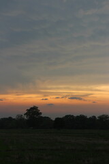 Real amazing panoramic sunrise or sunset sky with gentle colorful clouds.