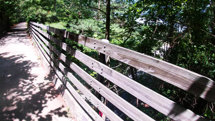 wooden rails Paved trail Silver Comet Trail Dallas Georgia side view