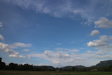 Obraz premium Blue sky and cloud with tree.