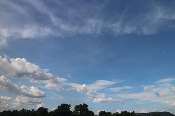 Obraz premium Blue sky and cloud with tree.