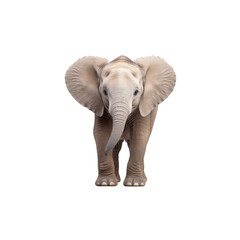 Fototapeta premium Baby elephant isolated on transparent background