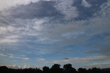 Blue sky and cloud with tree.