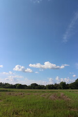 Blue sky and beautiful cloud with meadow trees.