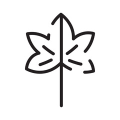 Obraz premium Autumn Leaf Maple Line Icon