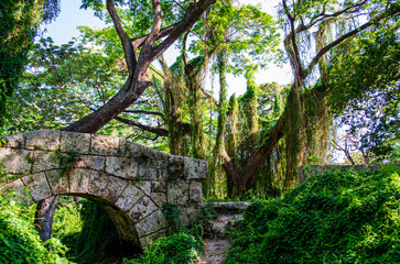 old bridge in the forest