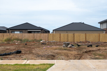 Vacant lot of land covered with dirt and construction waste contrast with the garden fences of new...