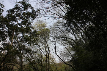 春の風景　山