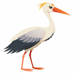 stork vector illustration with white background