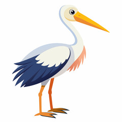 stork vector illustration with white background