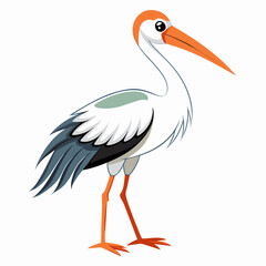 stork vector illustration with white background