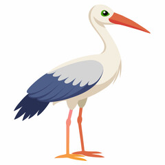 stork vector illustration with white background