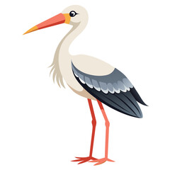 stork vector illustration with white background