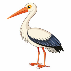 stork vector illustration with white background