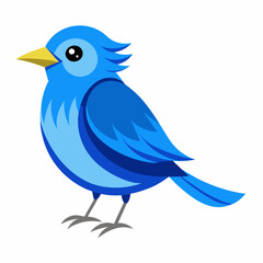 blue bird with speech bubbles, blue birds vector illustration with white background