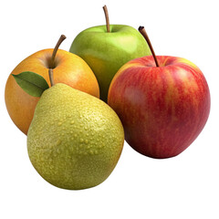 สำเนาของ ไม่มีชื่อ - 75