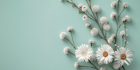 Beautiful spring floral composition with white daisies and willow branches on a light green background, shown in a flat lay top view. A bouquet of fresh daisy flowers and small fluffy catkins is lying