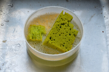 The dishwashing sponge, a staple household cleaning tool, is indispensable for tackling tough stains and grease buildup on dishes and utensils