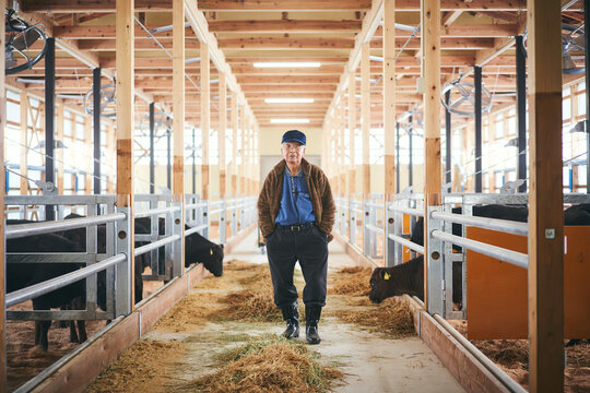 牛舎に立つシニア男性