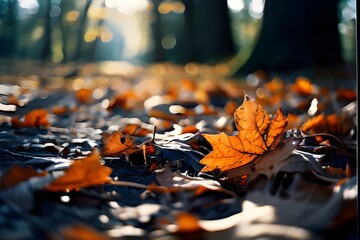 Autumn's Tapestry: Fallen Dry Leaves