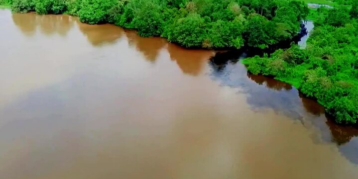 aerial video of a very natural protected forest with a river flowing calmly between the forest