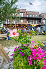 flower with party event in the distance, blurred