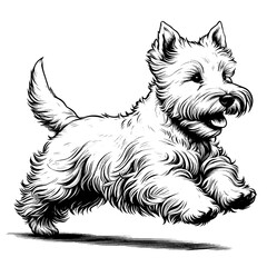 Cute Scottish Terrier dog in full-body, hand drawn sketch. Vector isolated on white background