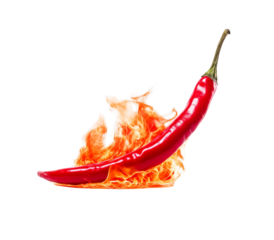 A fiery red chili pepper engulfed in flames, representing hot taste and spiciness on a transparent background. Generative AI