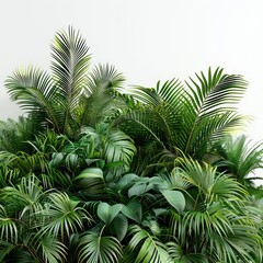 tropical bush, mid shot