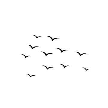 Simple birds flying illustration vector.
