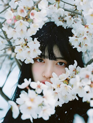 桜の下で見つめる春、アジア人女性