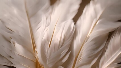 Close Up of White Feathers on Table Generative AI