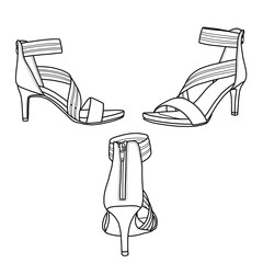 Ankle-strap open toe heels with zipper. Hand-drawn of women's shoes. Vector illustration collection of fashion high heels, isolated on a white background.