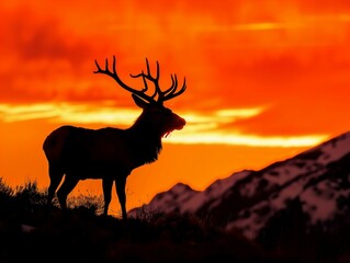 A majestic stag silhouetted against a fiery sunrise, with mist clinging to the valley below.