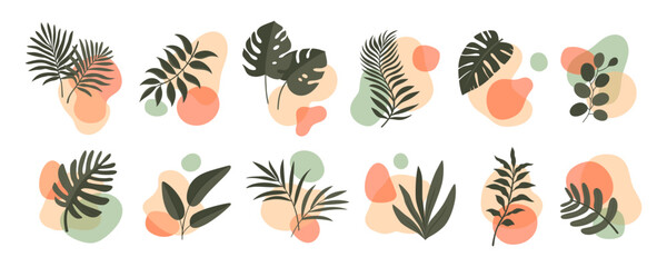 Abstract boho leaf and plant organic shapes, vector floral minimalist art set. Summer nature prints with geometric decor, tropical areca palm tree, monstera and philodendron leaves silhouettes