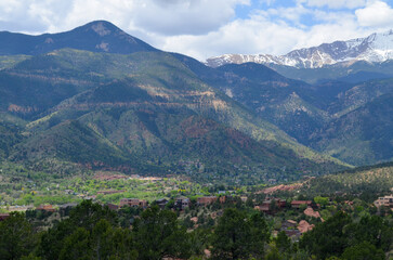 Fototapeta premium landscape with flowers and mountains of Colorado