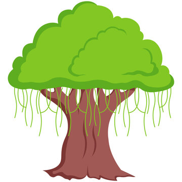 Banyan Tree Plant Illustration