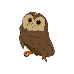 Cute owl illustration design isolated in white background