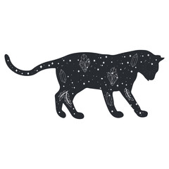 Mystical Cat Illustration