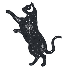 Mystical Cat Illustration