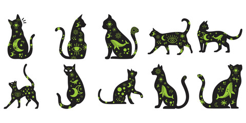Mystical Cat