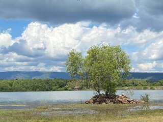 Natural photos