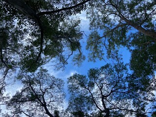 Natural photos