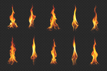 Fire flame on transparent background. Vector illustration of a fiery flame on a transparent background.