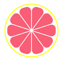 グレープフルーツ　輪切り　断面　イラスト　素材