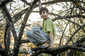 Portrait of a boy sitting on a tree branch in the garden